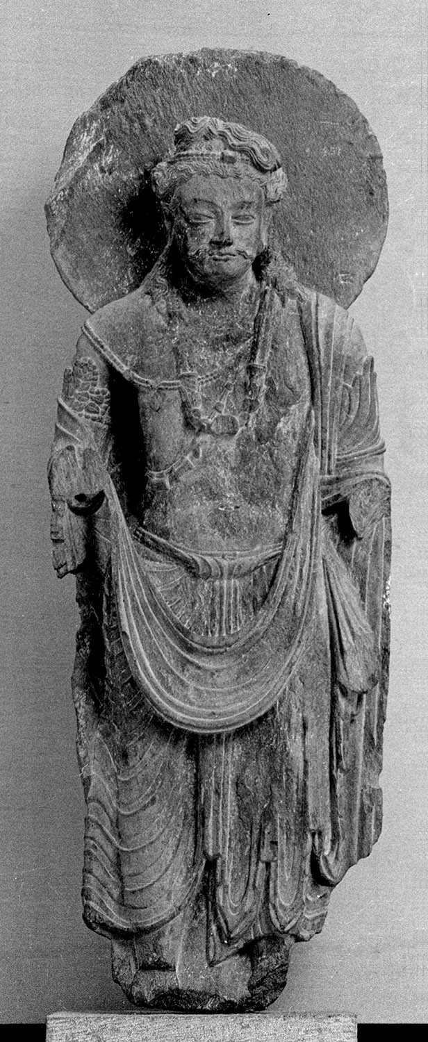 Chandigarh Museum