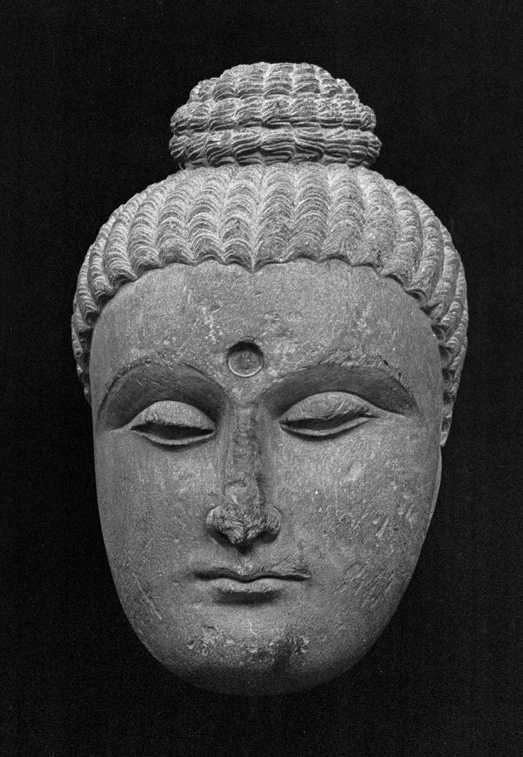 Chandigarh Museum