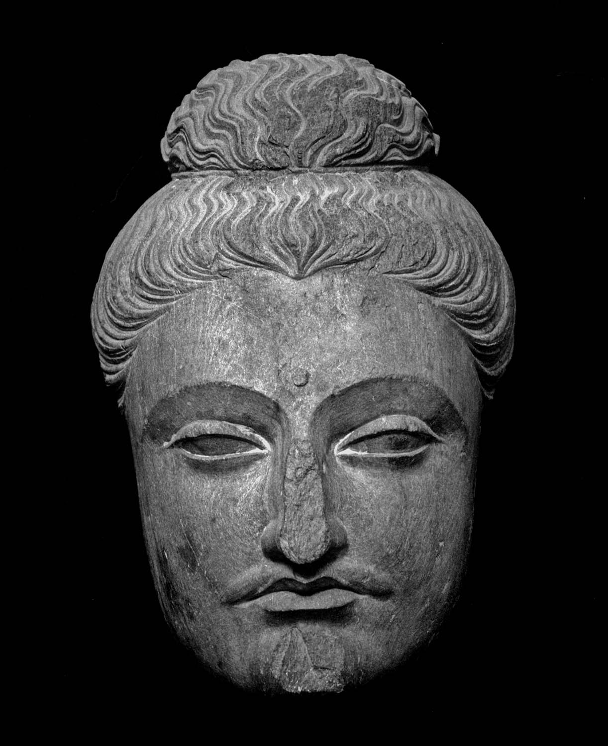 Chandigarh Museum