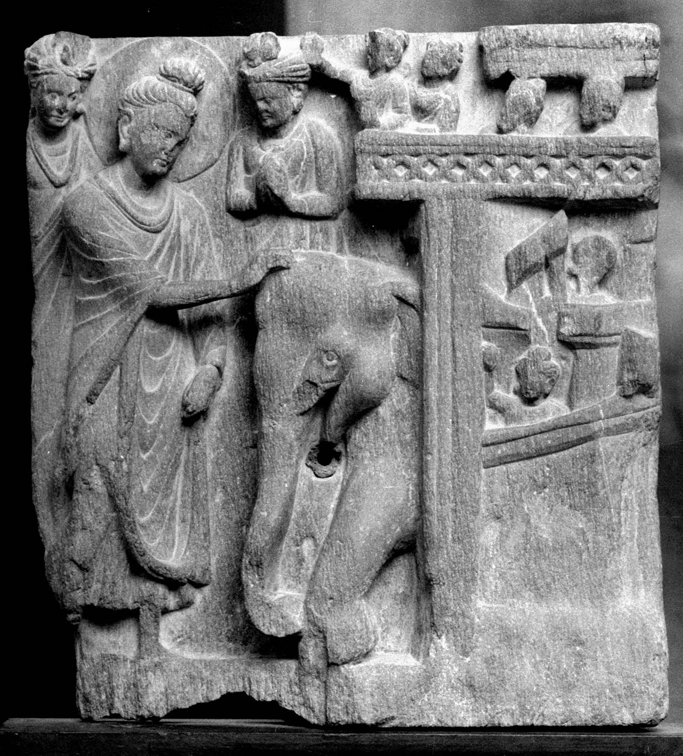 Chandigarh Museum