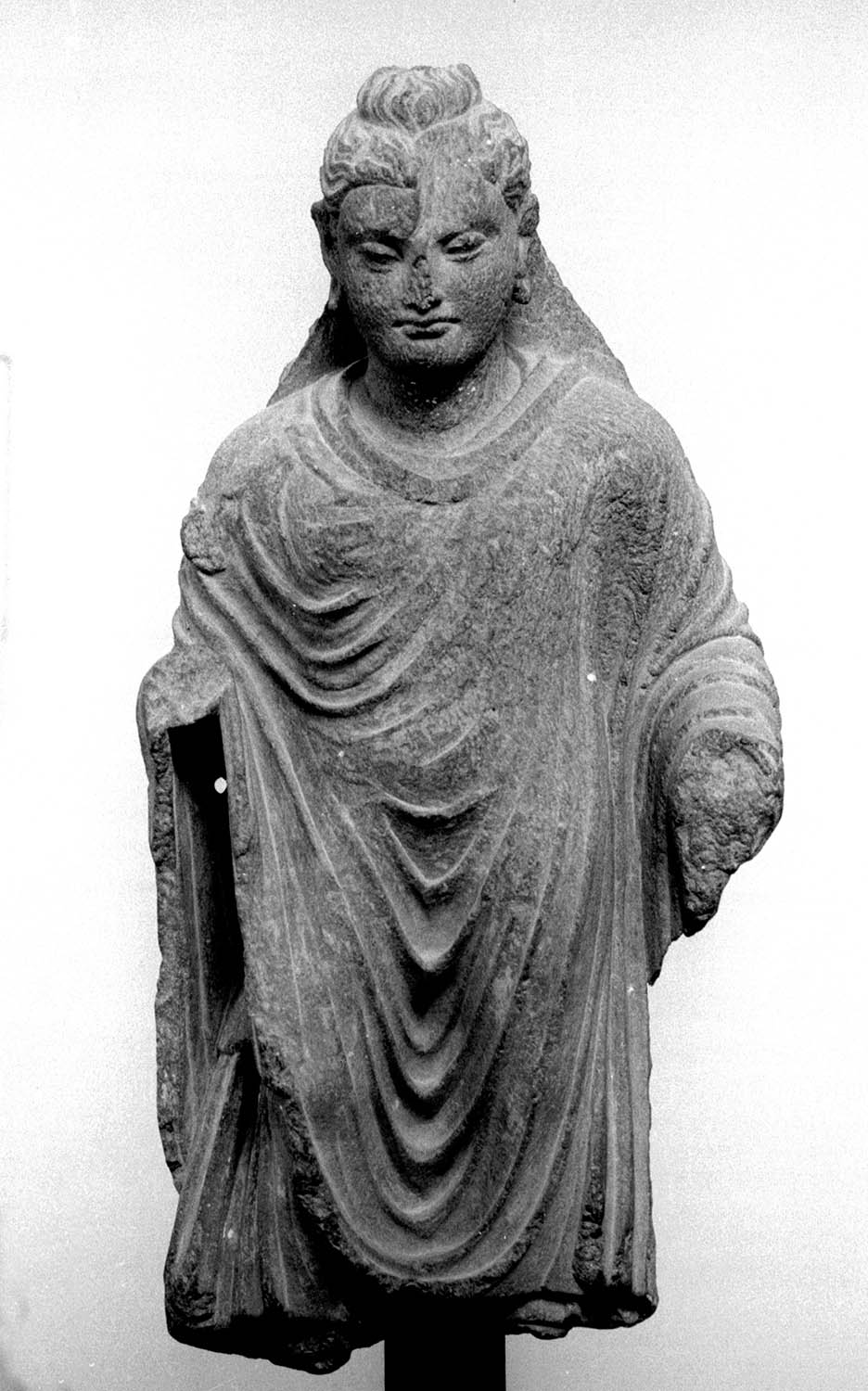 Chandigarh Museum