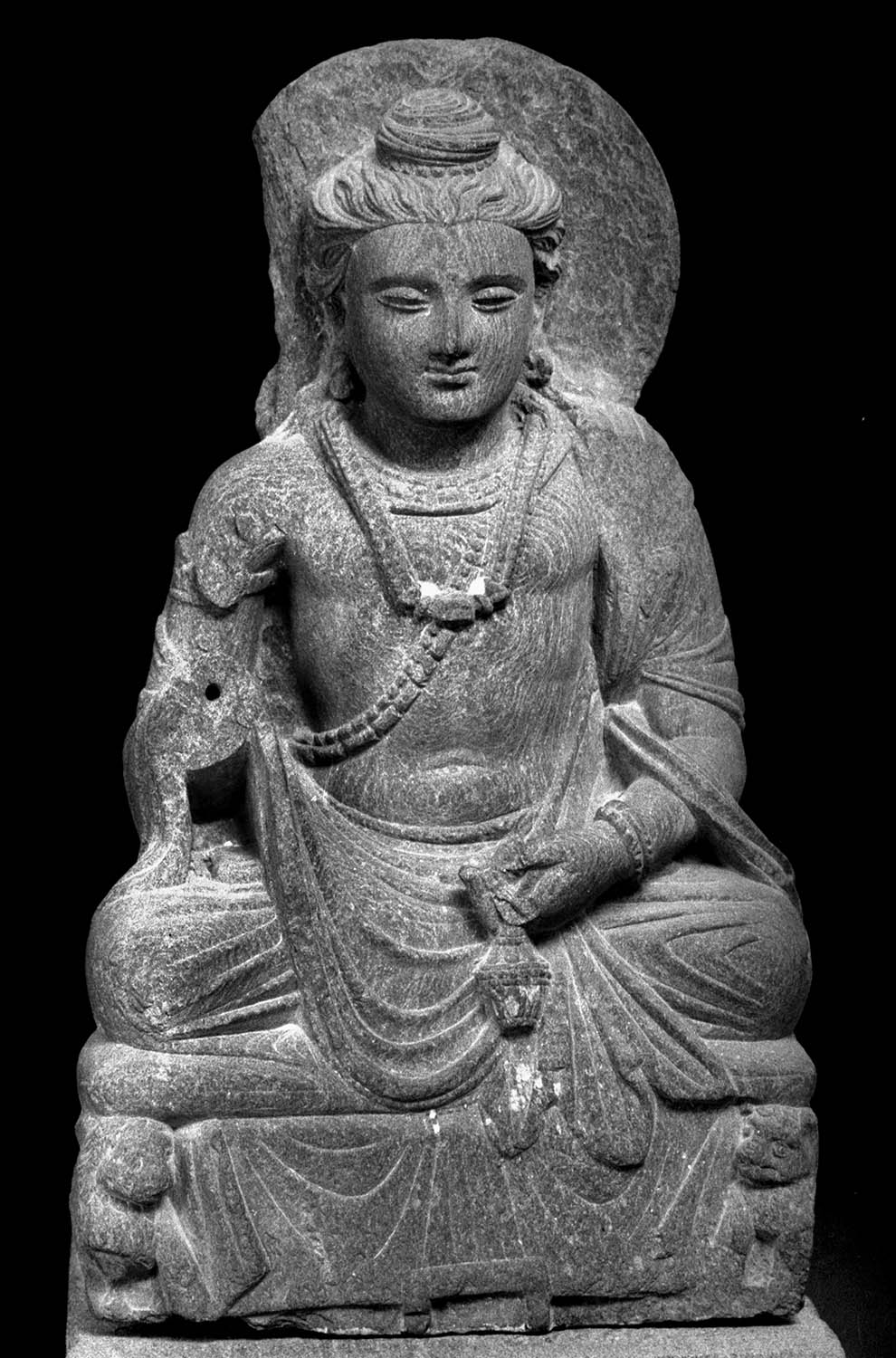 Chandigarh Museum