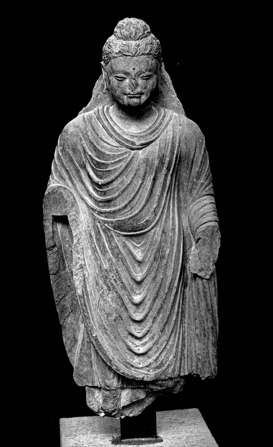 Chandigarh Museum