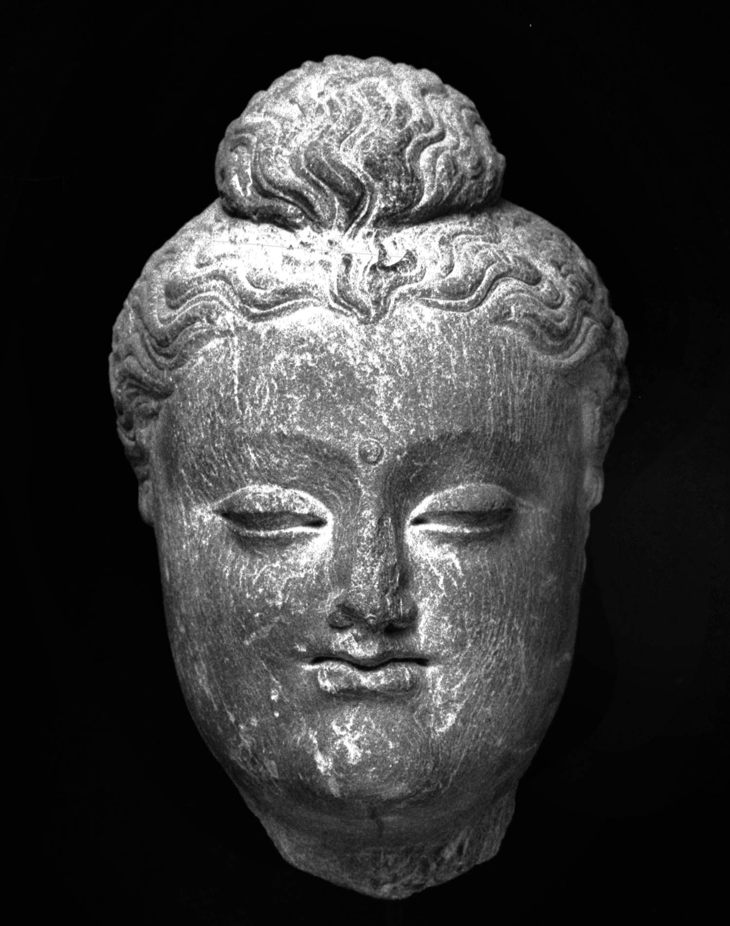 Chandigarh Museum