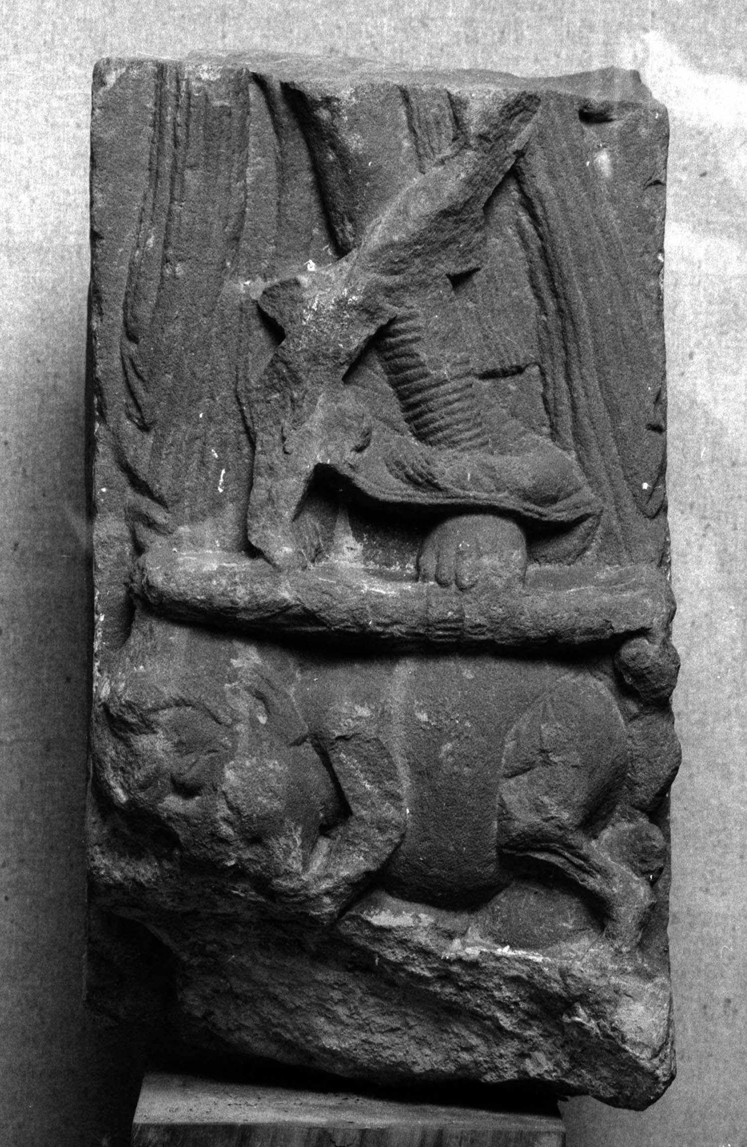 Chandigarh Museum