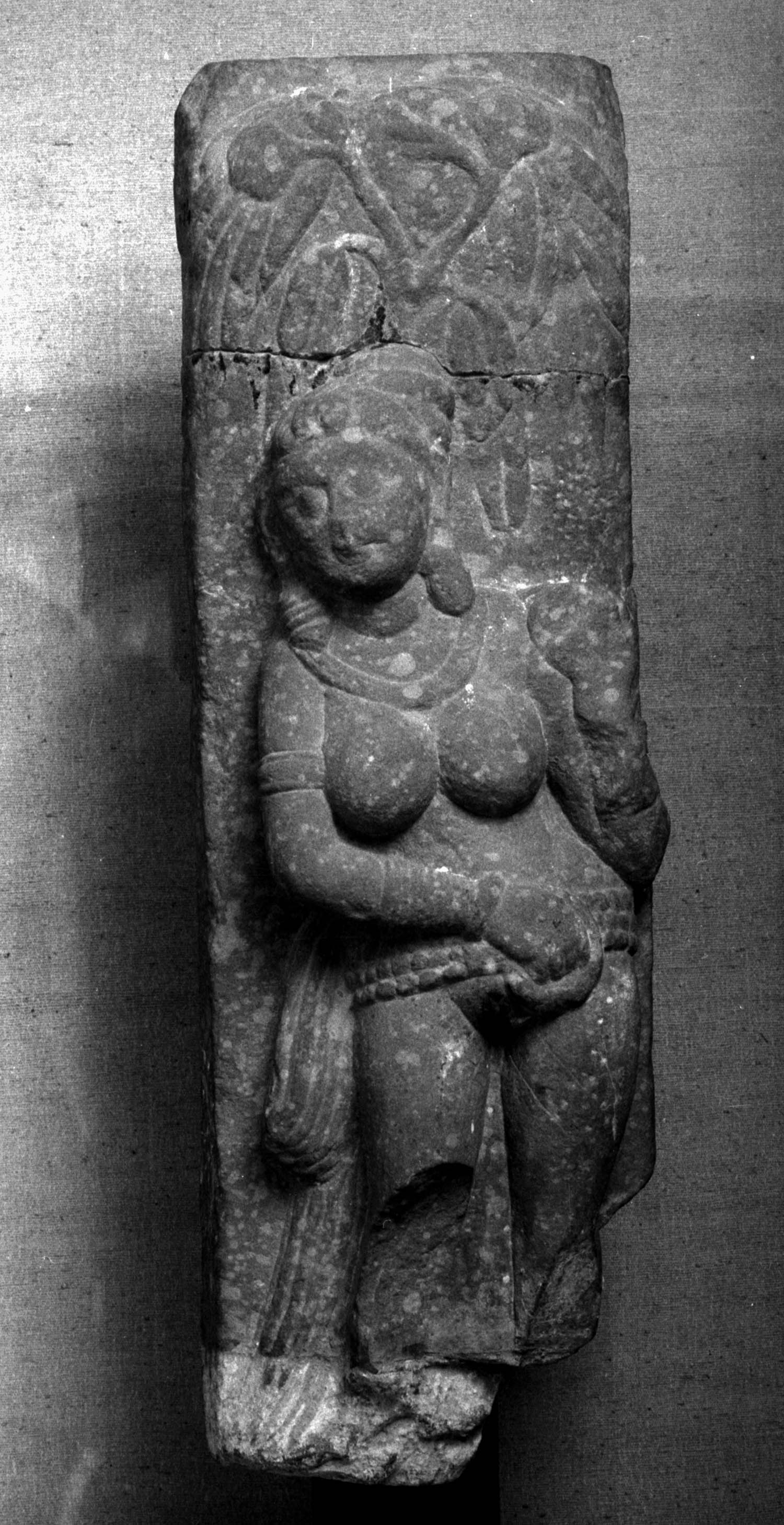 Chandigarh Museum