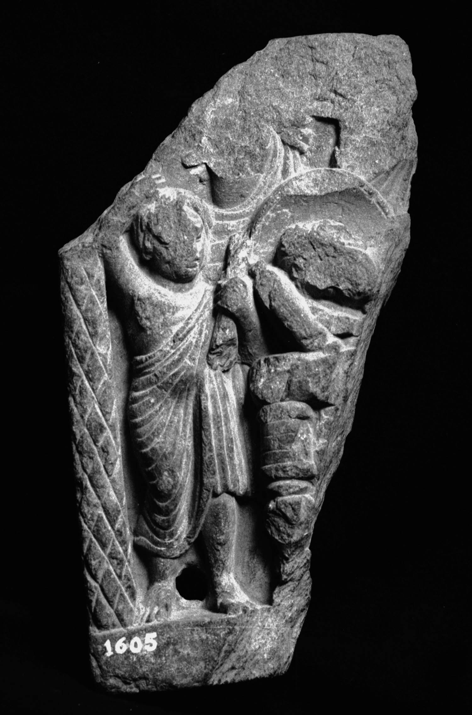 Chandigarh Museum