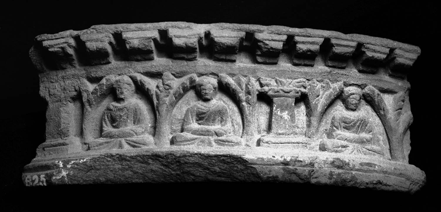 Chandigarh Museum