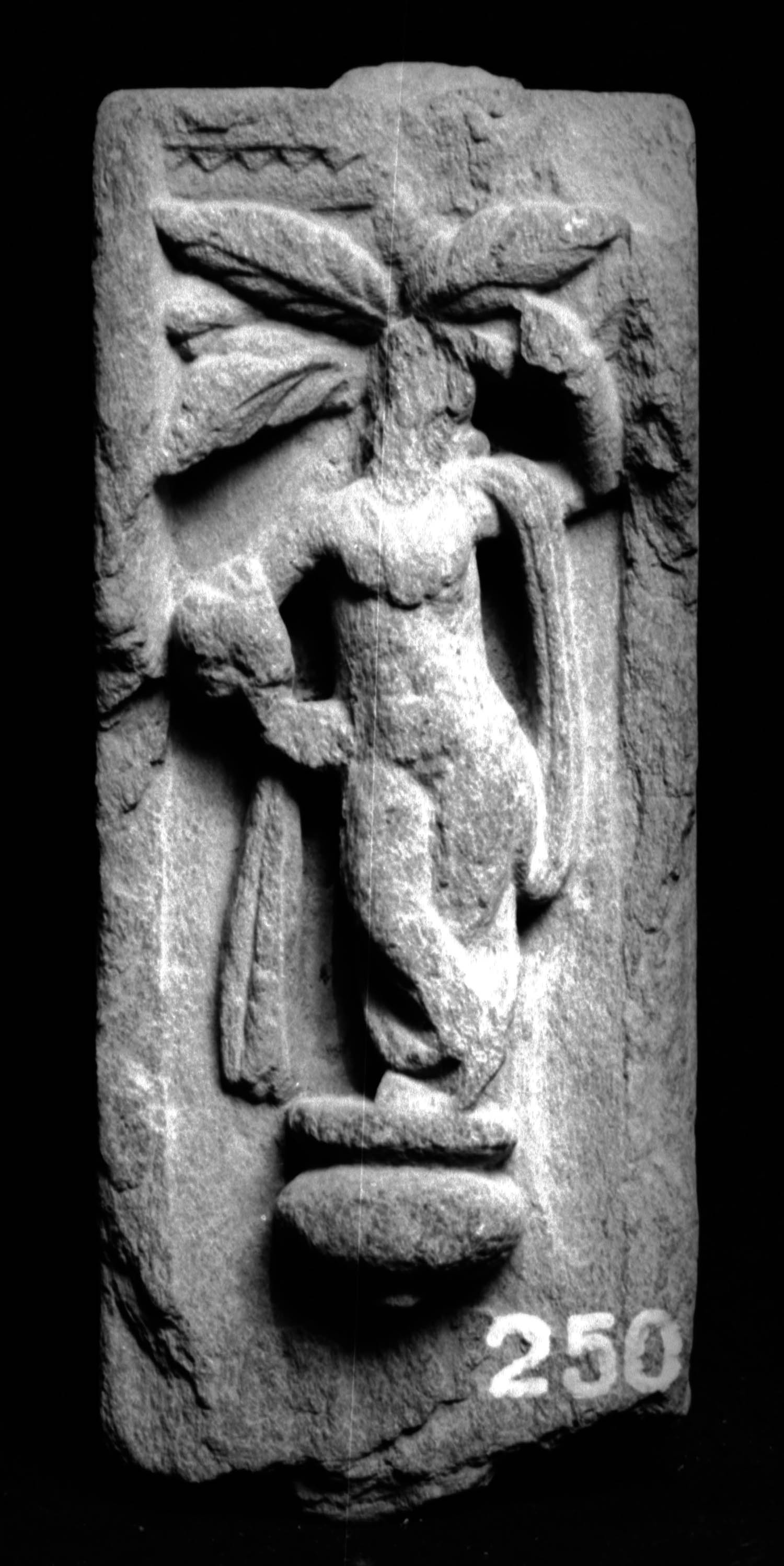 Chandigarh Museum