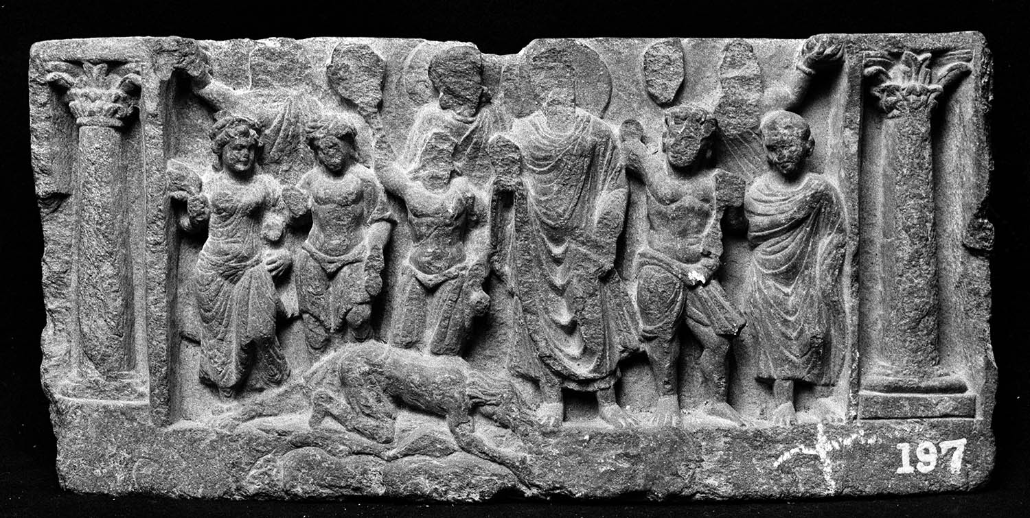 Chandigarh Museum
