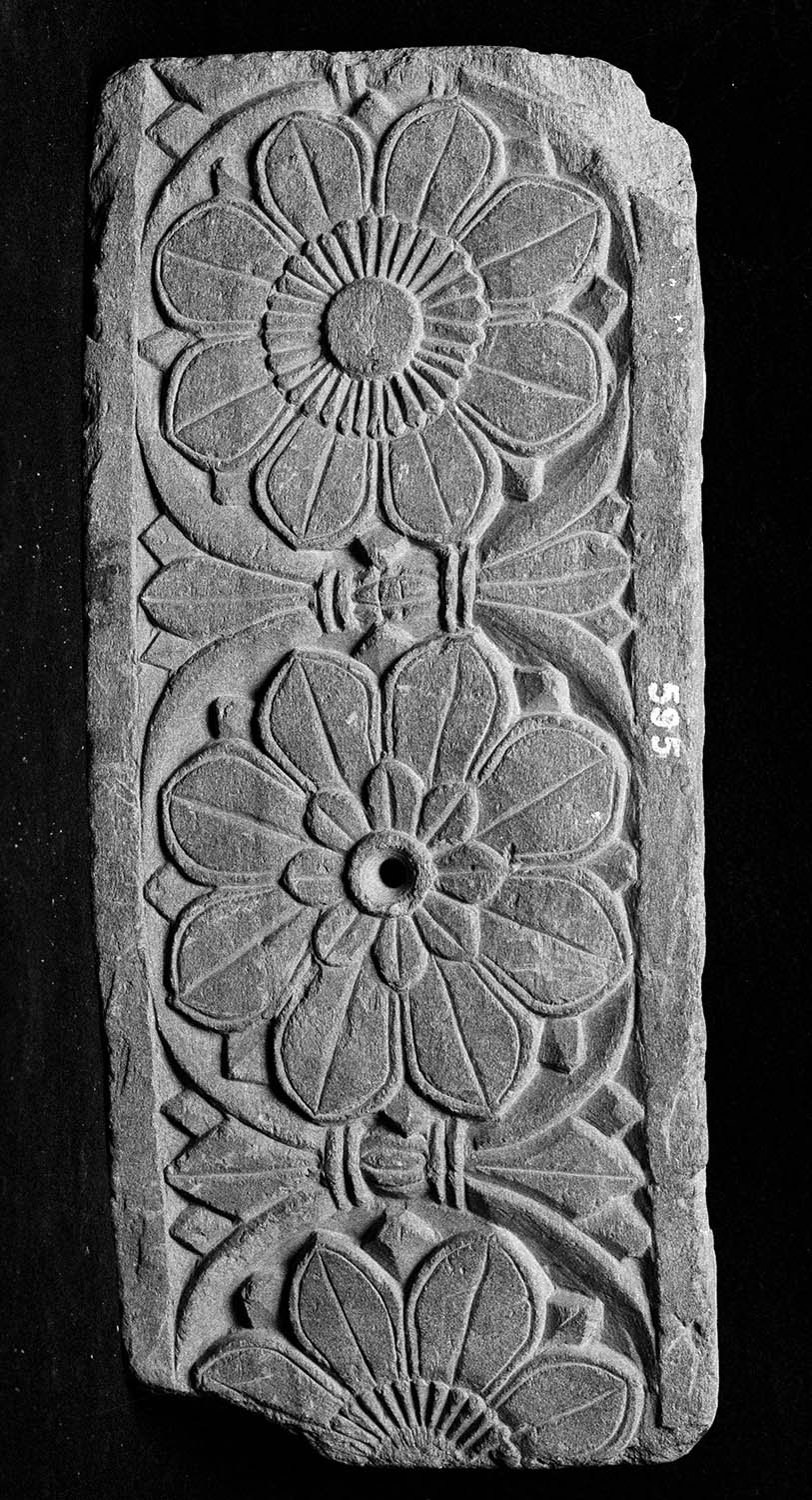 Chandigarh Museum
