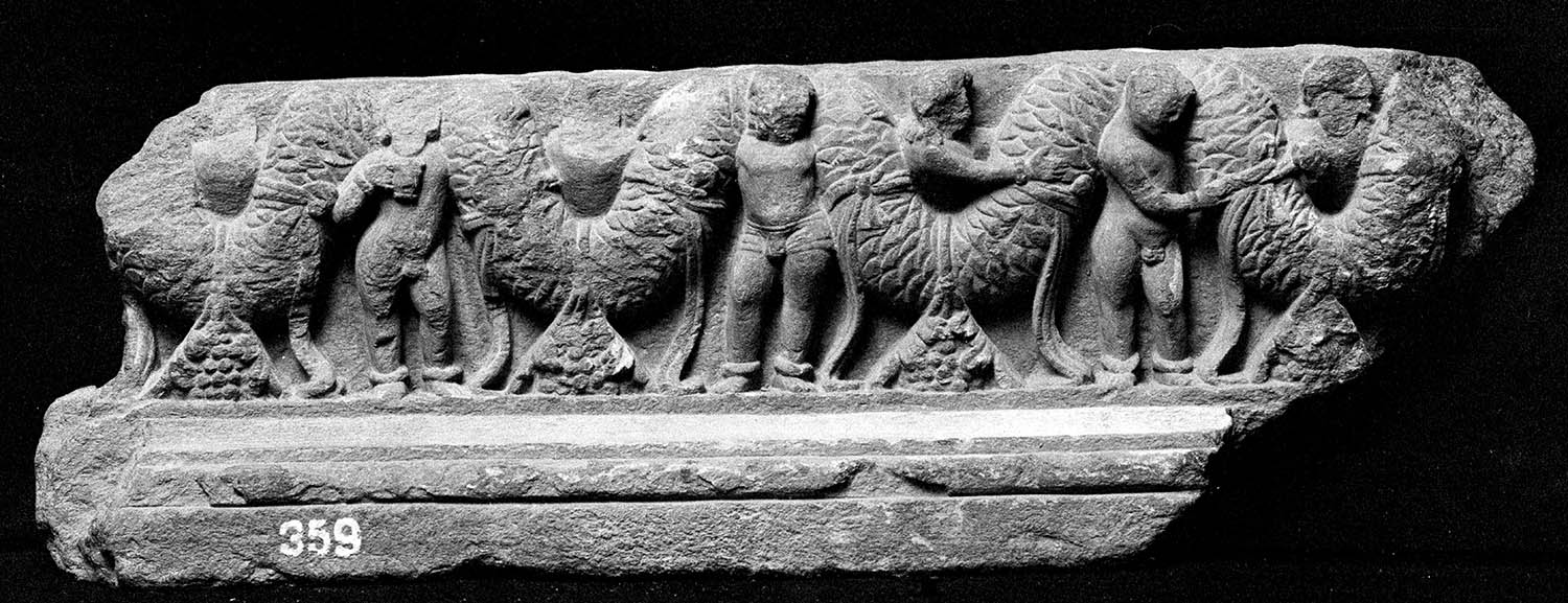 Chandigarh Museum