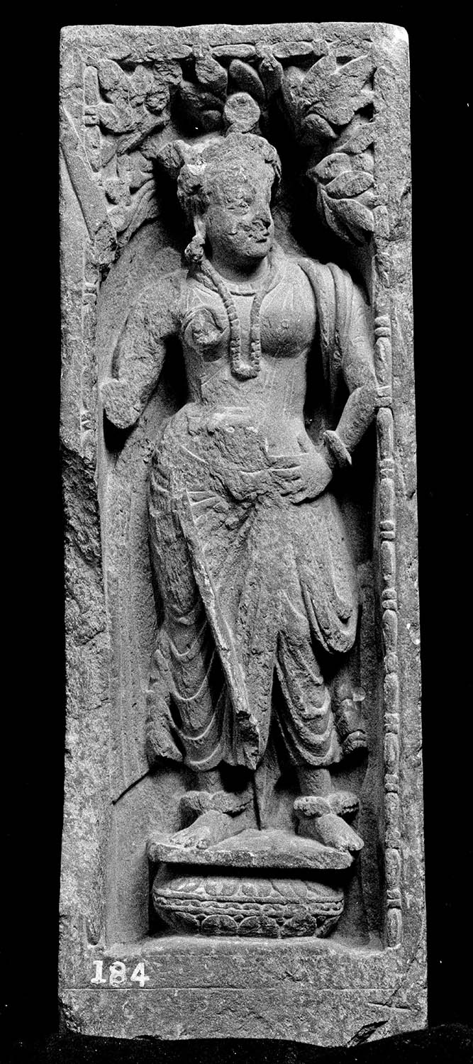 Chandigarh Museum