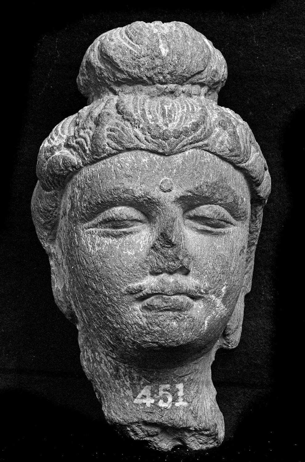 Chandigarh Museum