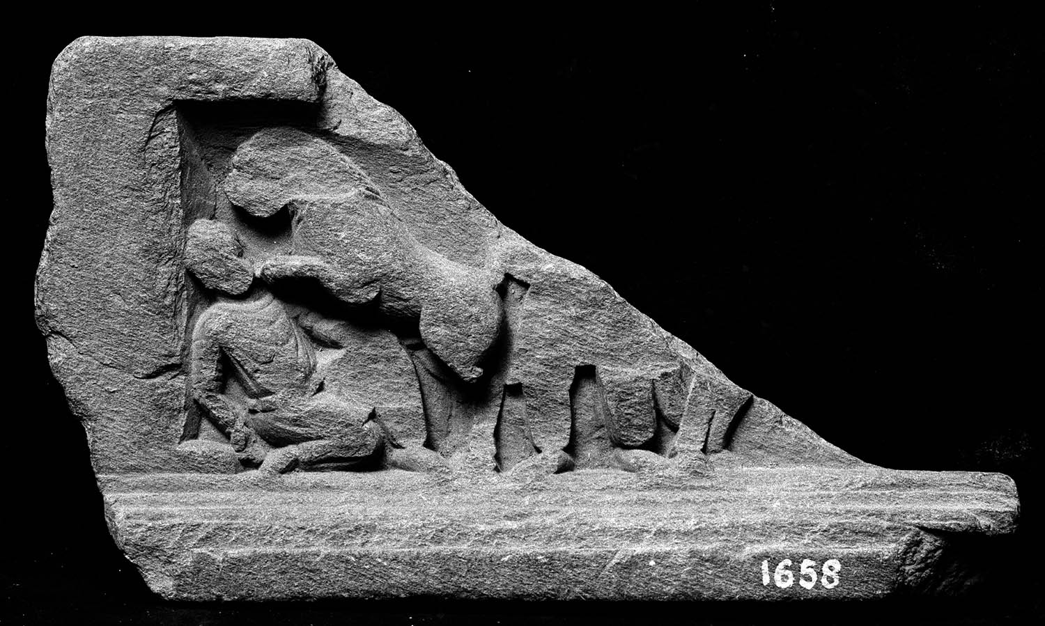 Chandigarh Museum