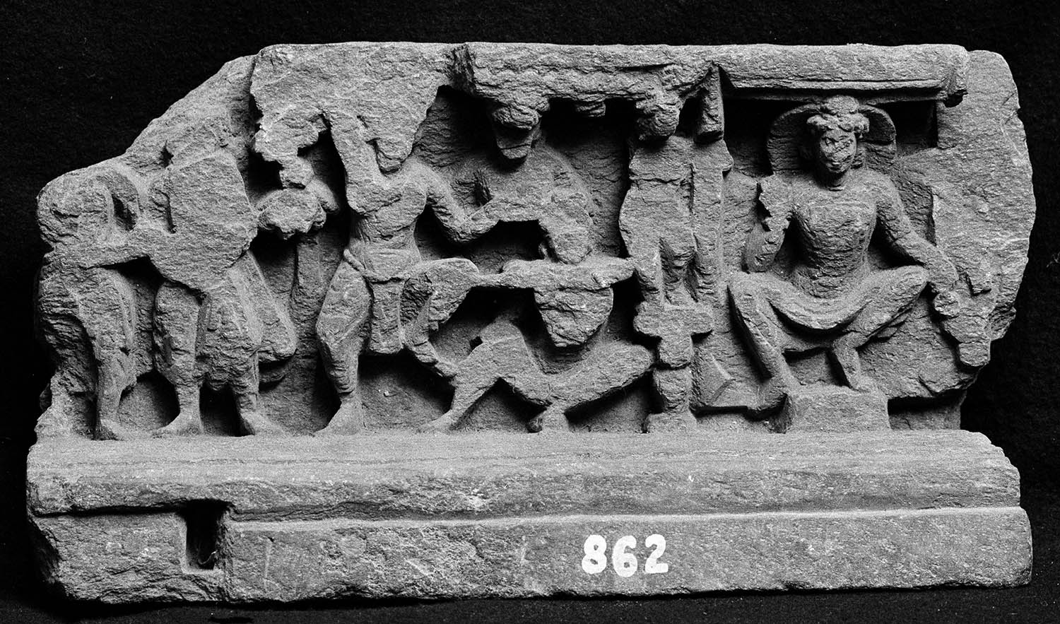 Chandigarh Museum
