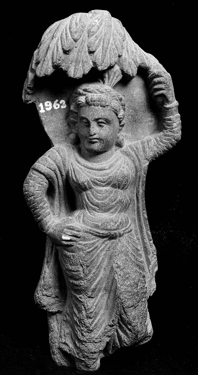 Chandigarh Museum