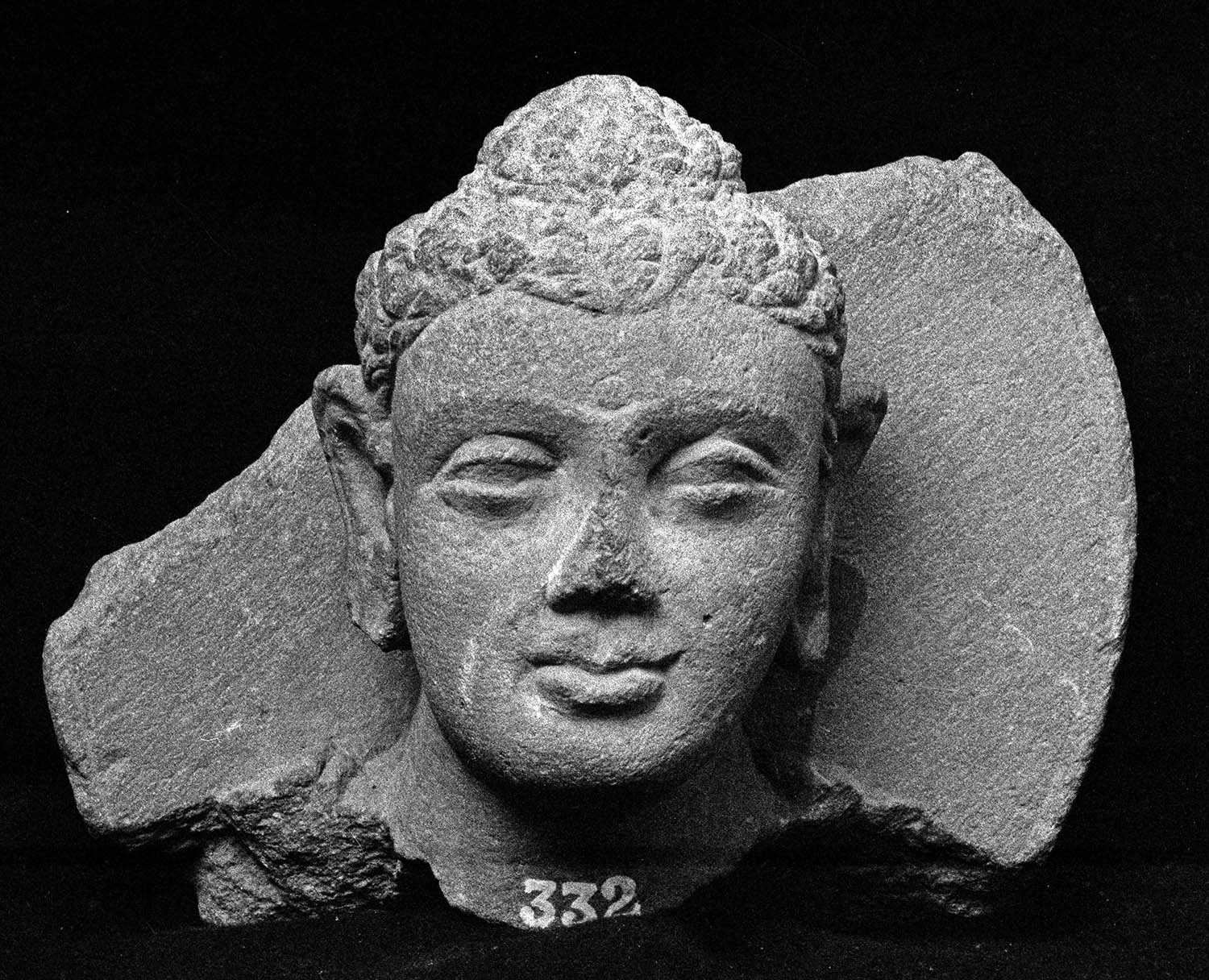 Chandigarh Museum