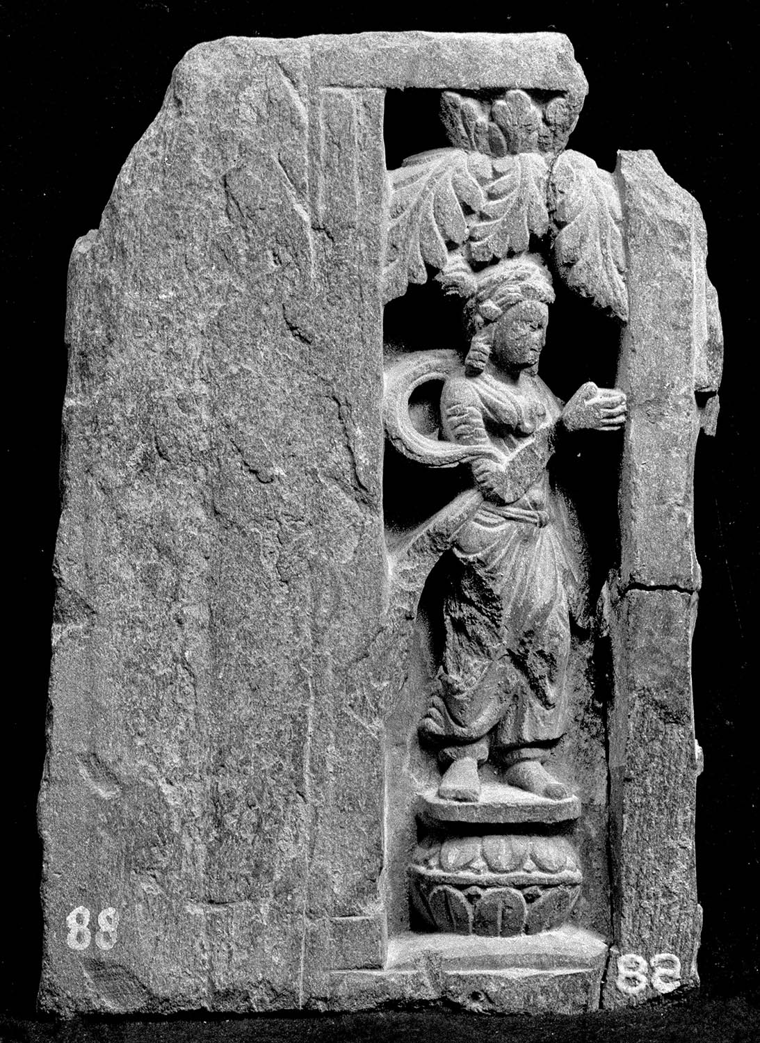 Chandigarh Museum
