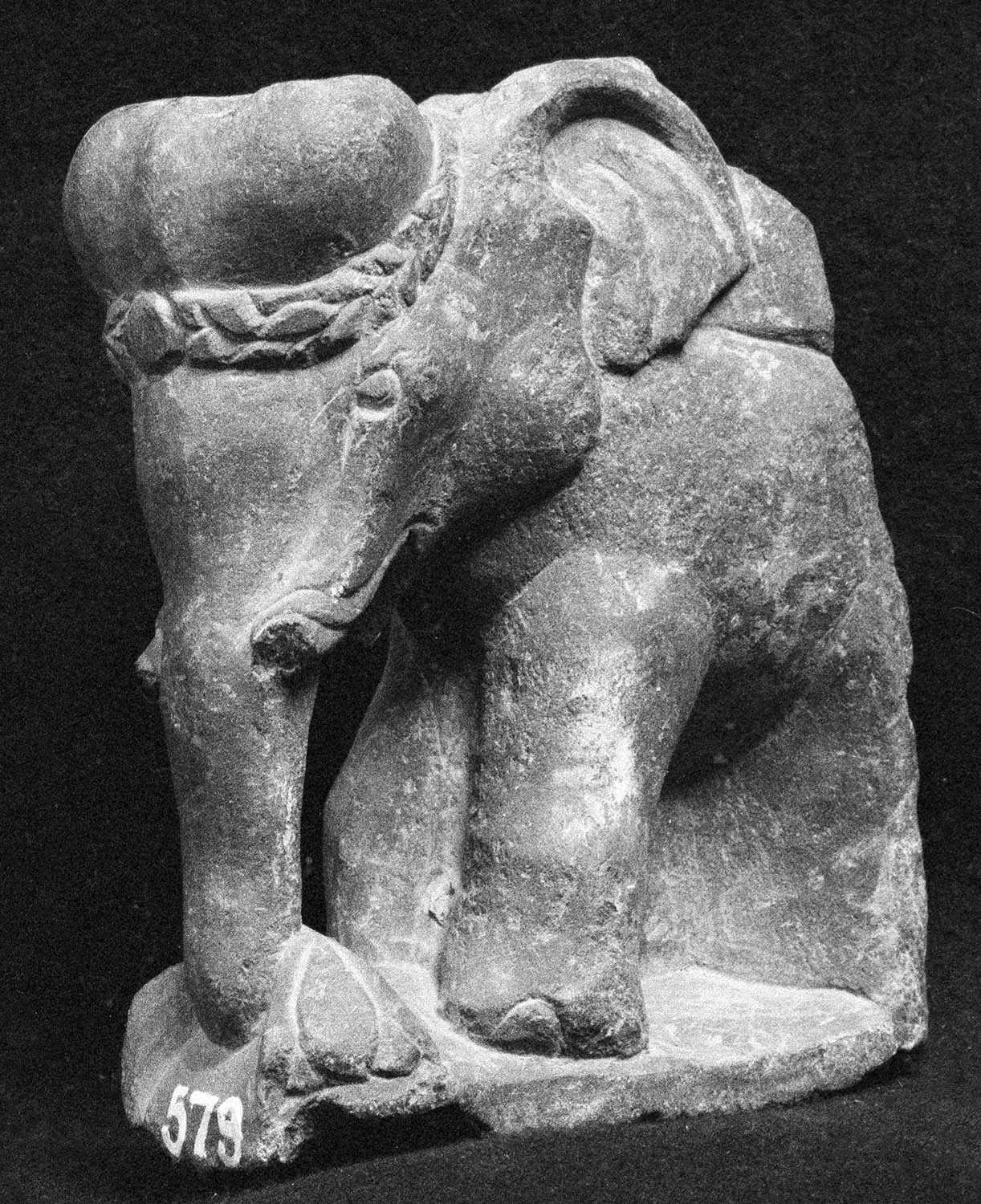 Chandigarh Museum