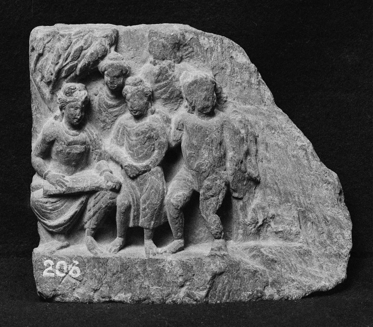 Chandigarh Museum