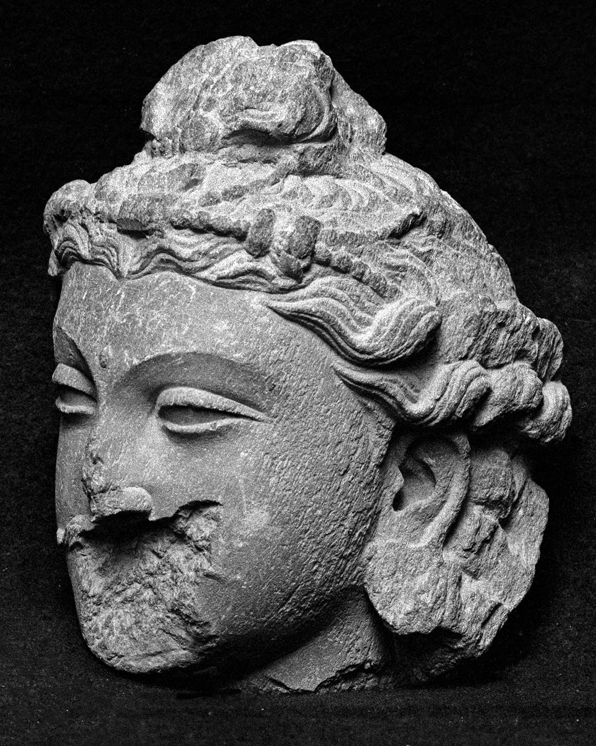 Chandigarh Museum