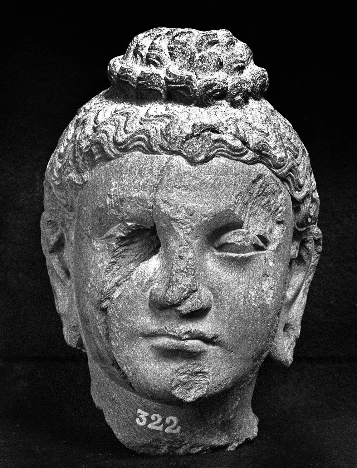 Chandigarh Museum
