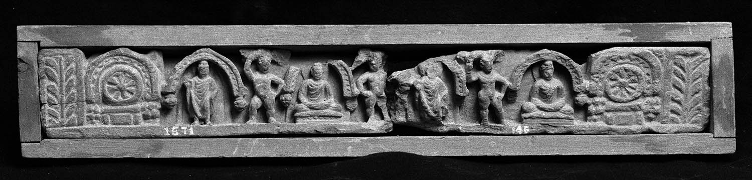 Chandigarh Museum