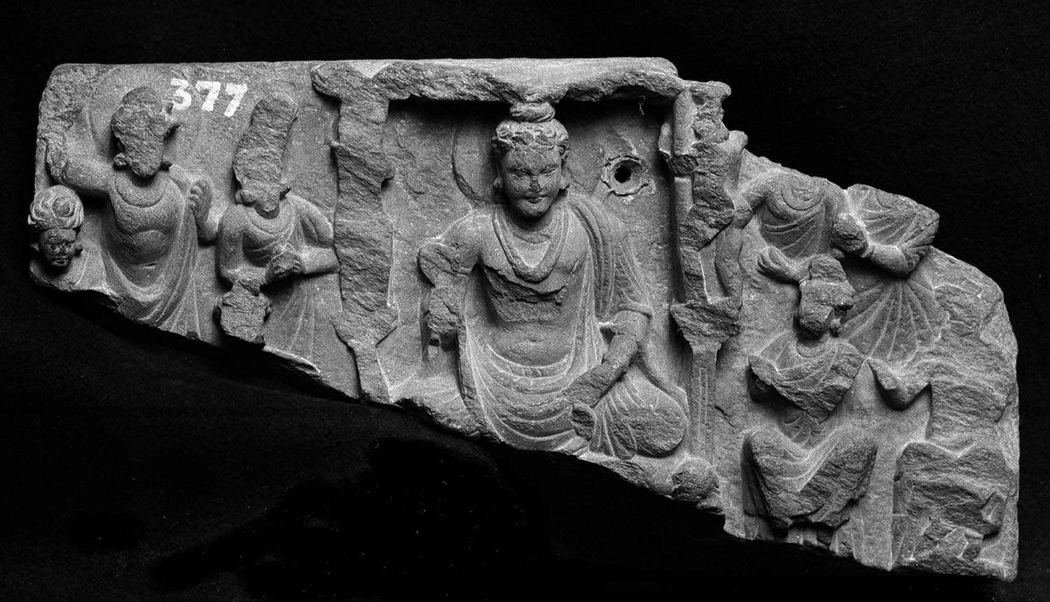 Chandigarh Museum