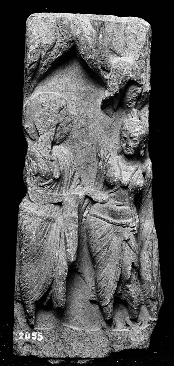 Chandigarh Museum