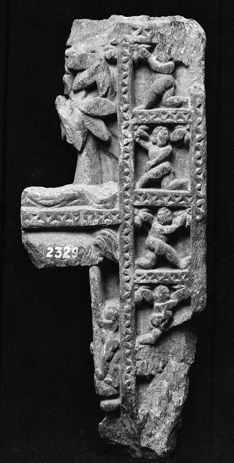 Chandigarh Museum