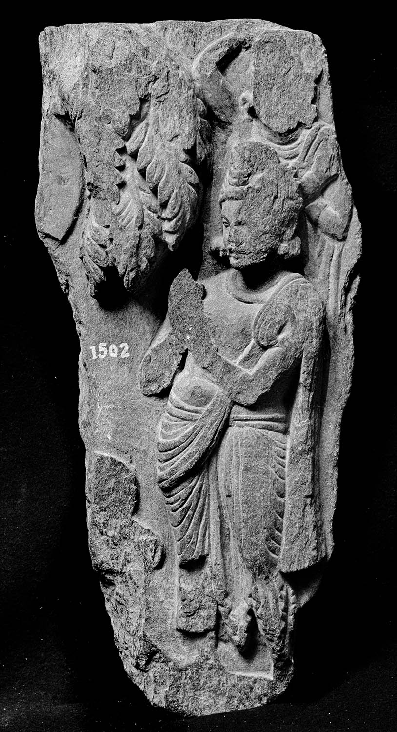Chandigarh Museum
