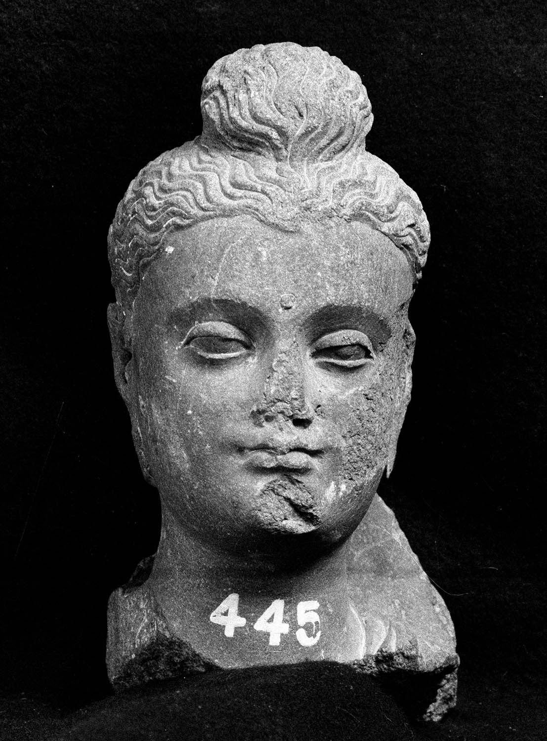 Chandigarh Museum