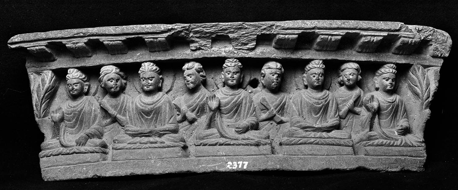 Chandigarh Museum