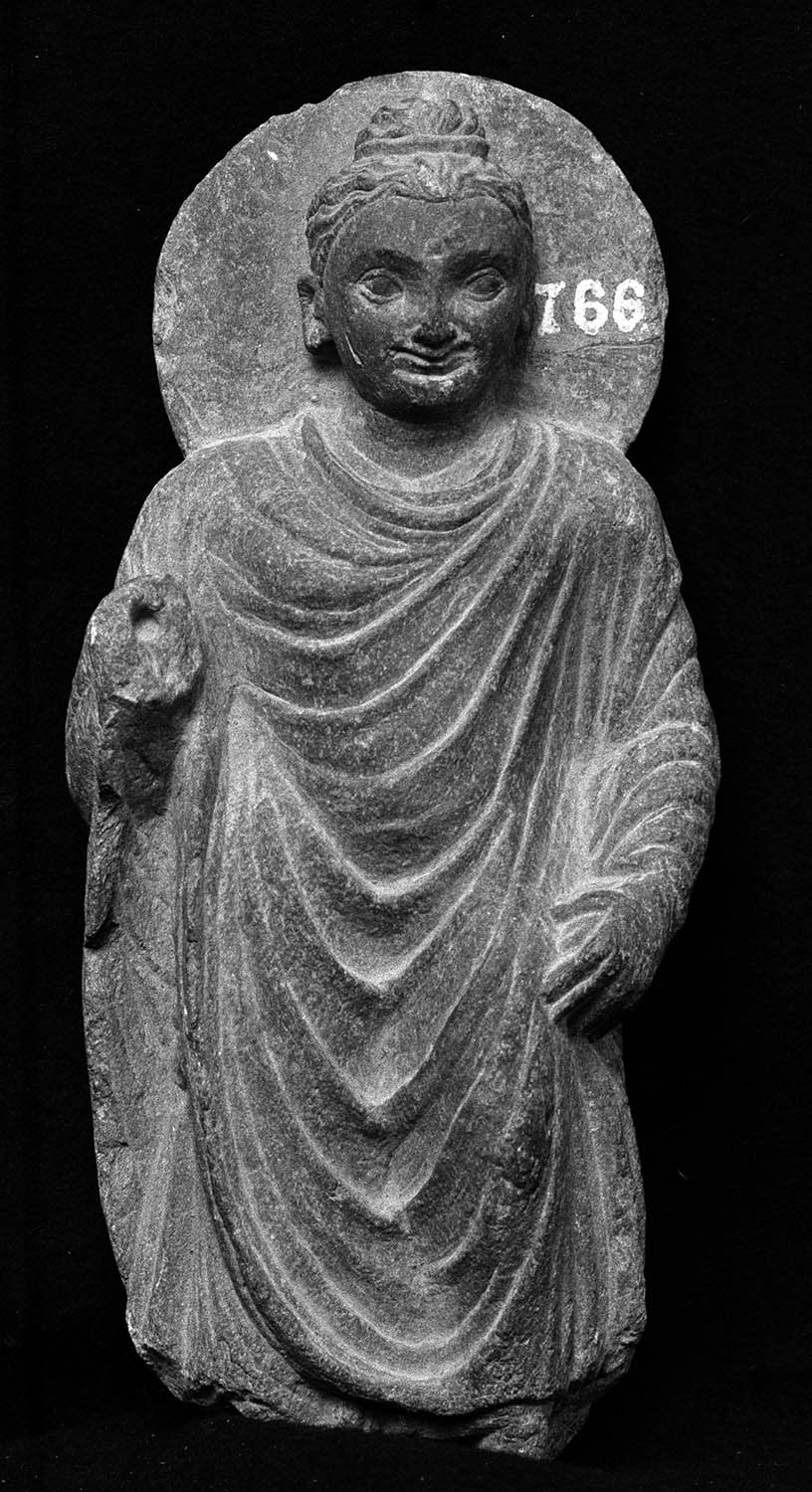 Chandigarh Museum