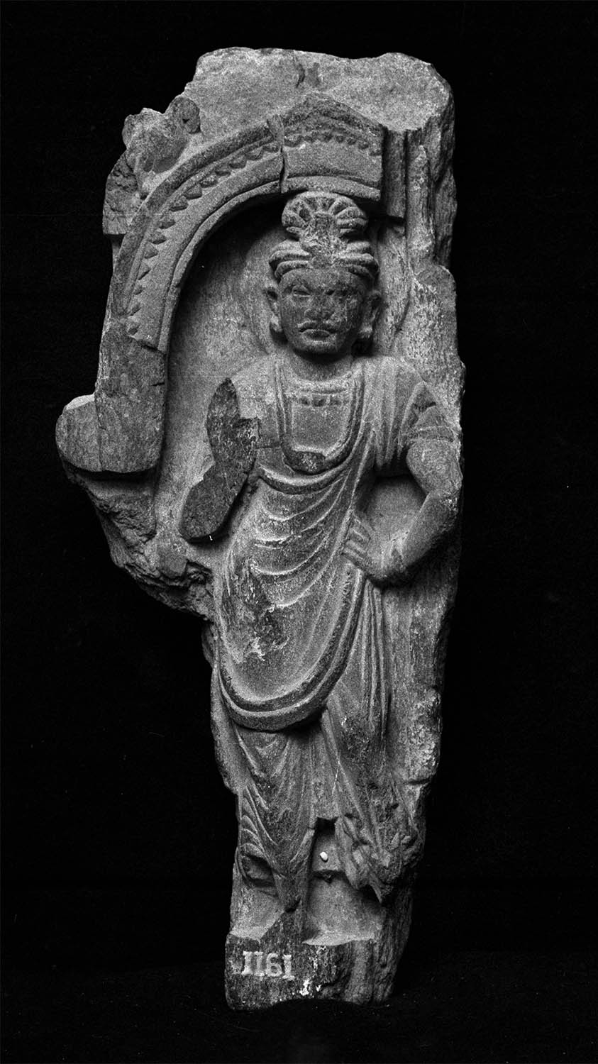 Chandigarh Museum