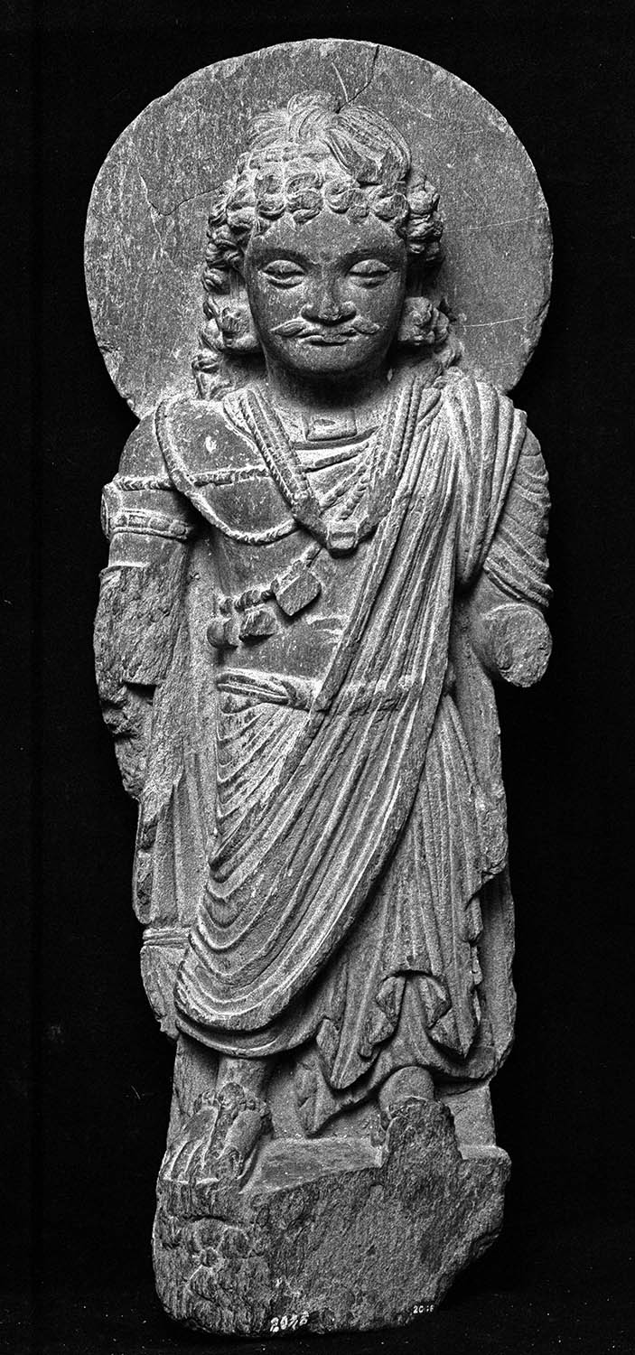 Chandigarh Museum
