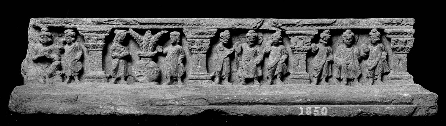 Chandigarh Museum