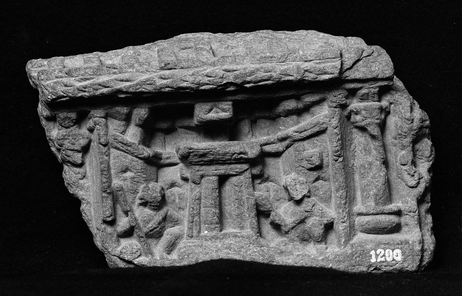 Chandigarh Museum
