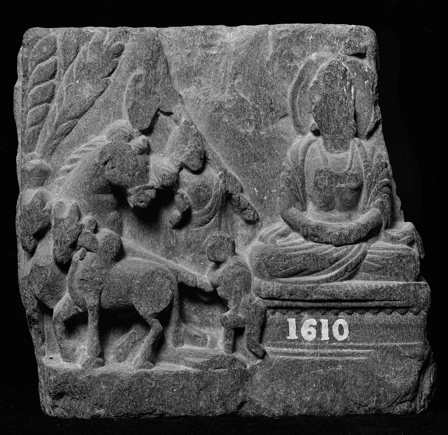 Chandigarh Museum