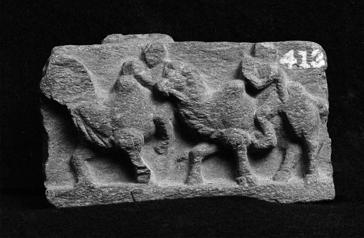 Chandigarh Museum