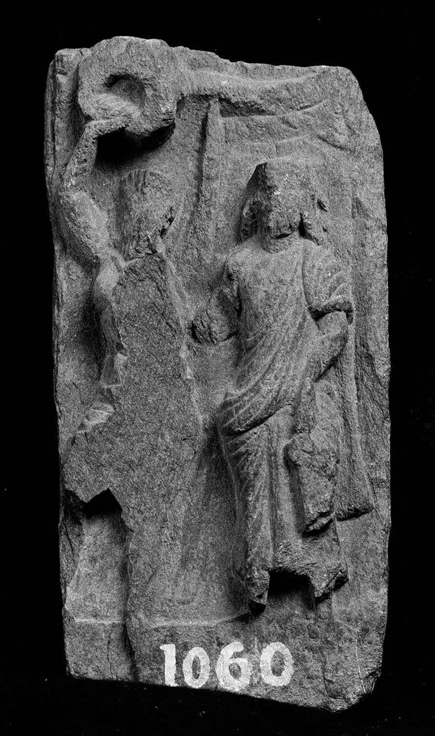 Chandigarh Museum