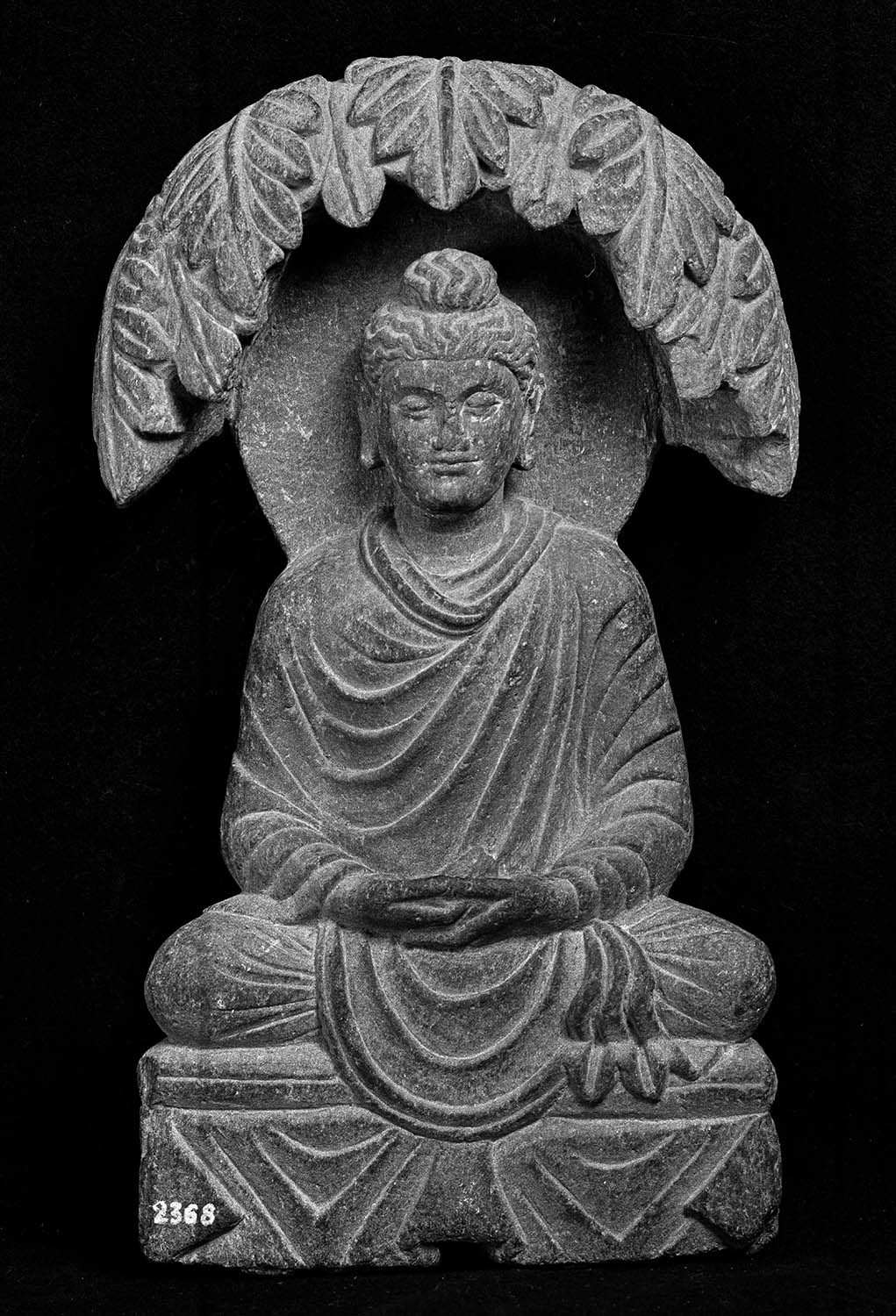 Chandigarh Museum