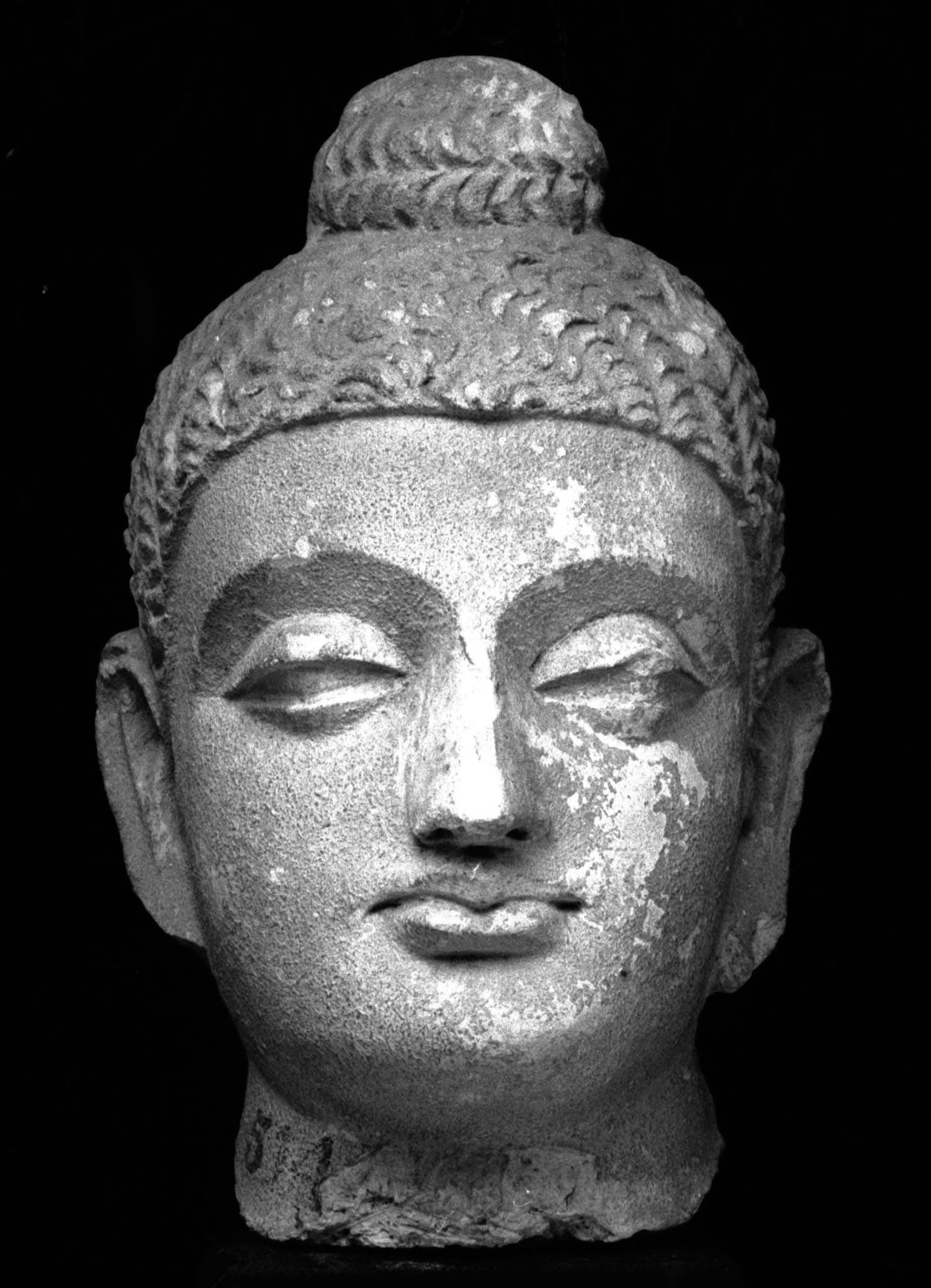 Chandigarh Museum