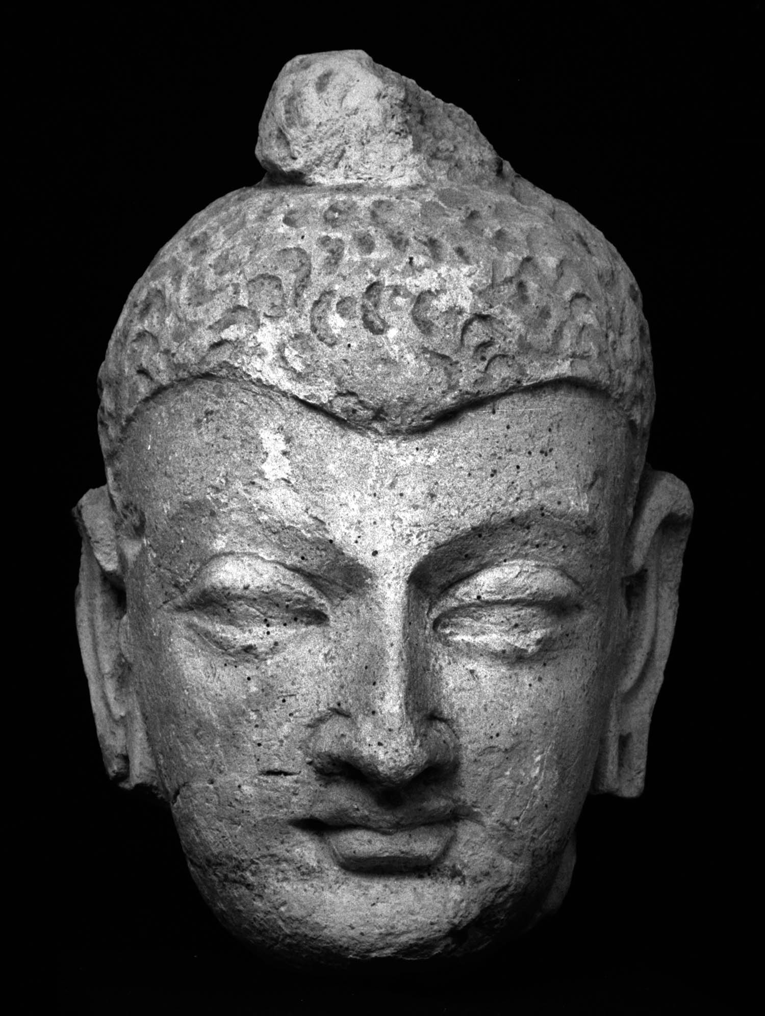 Chandigarh Museum