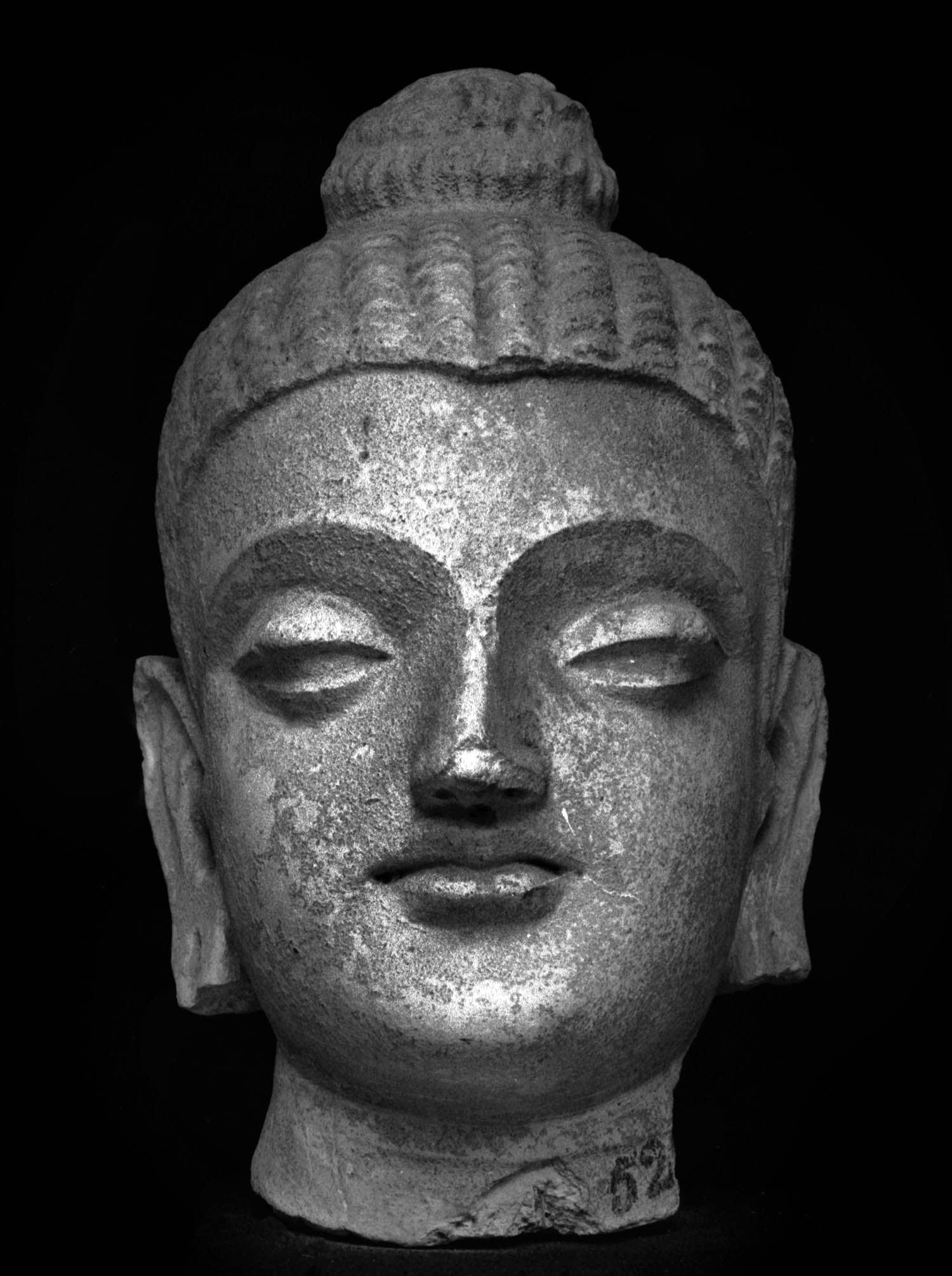 Chandigarh Museum