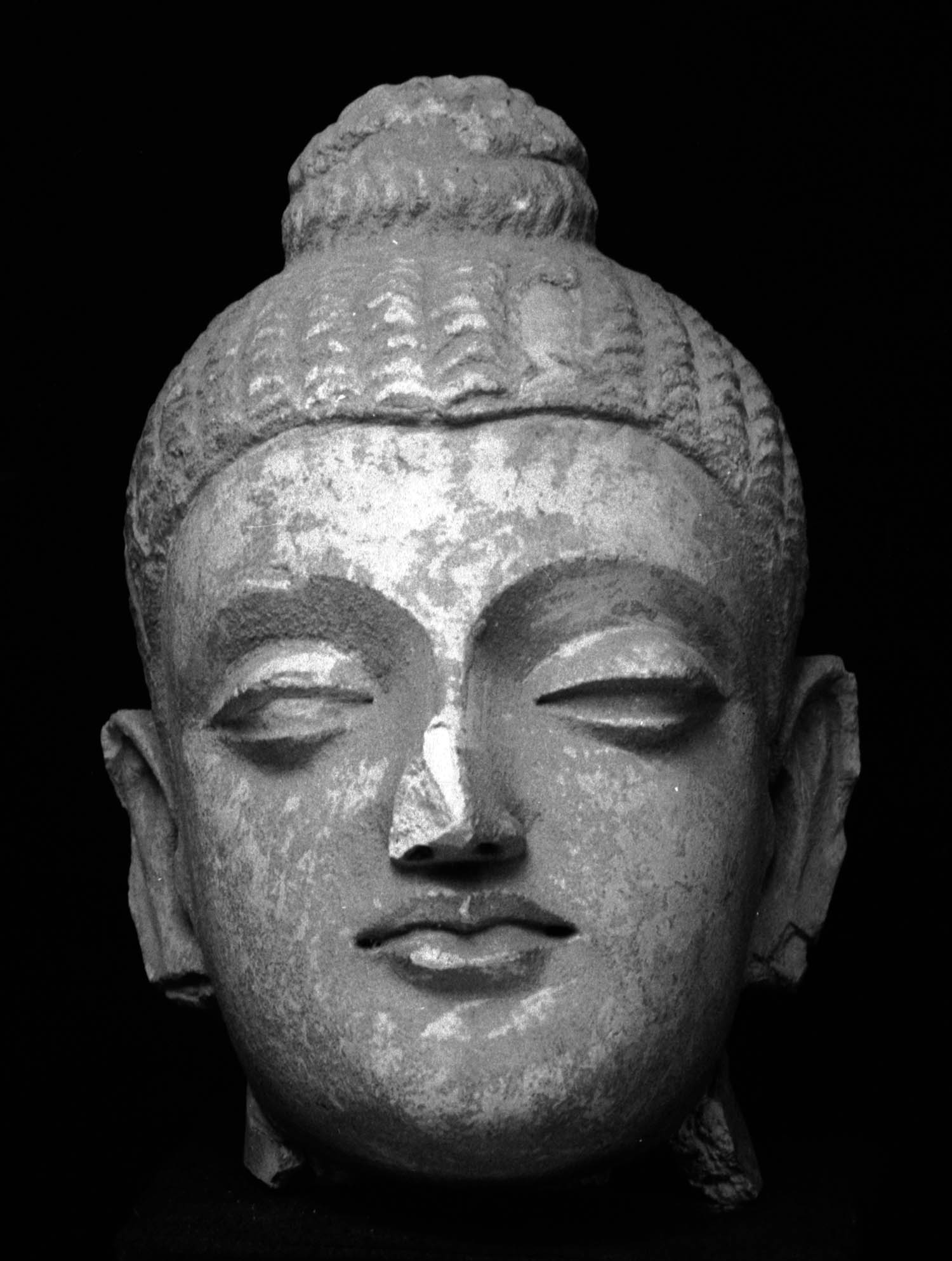Chandigarh Museum