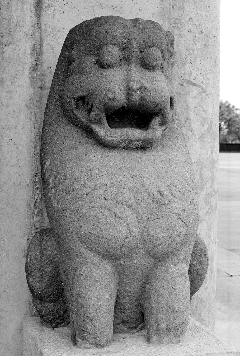 Chandigarh Museum
