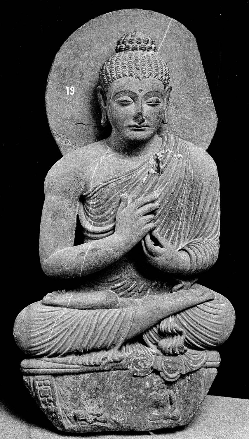 Chandigarh Museum