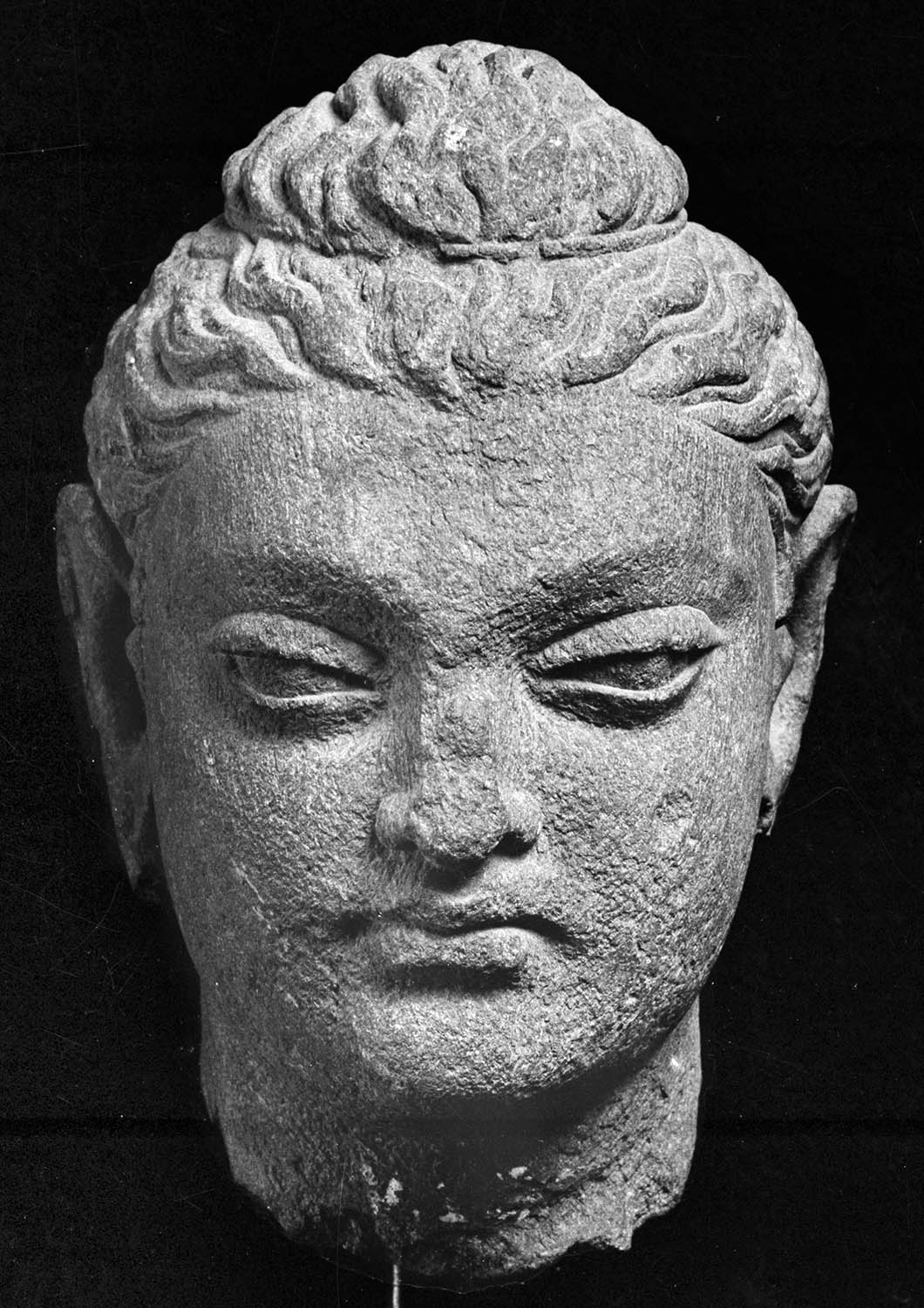 Chandigarh Museum